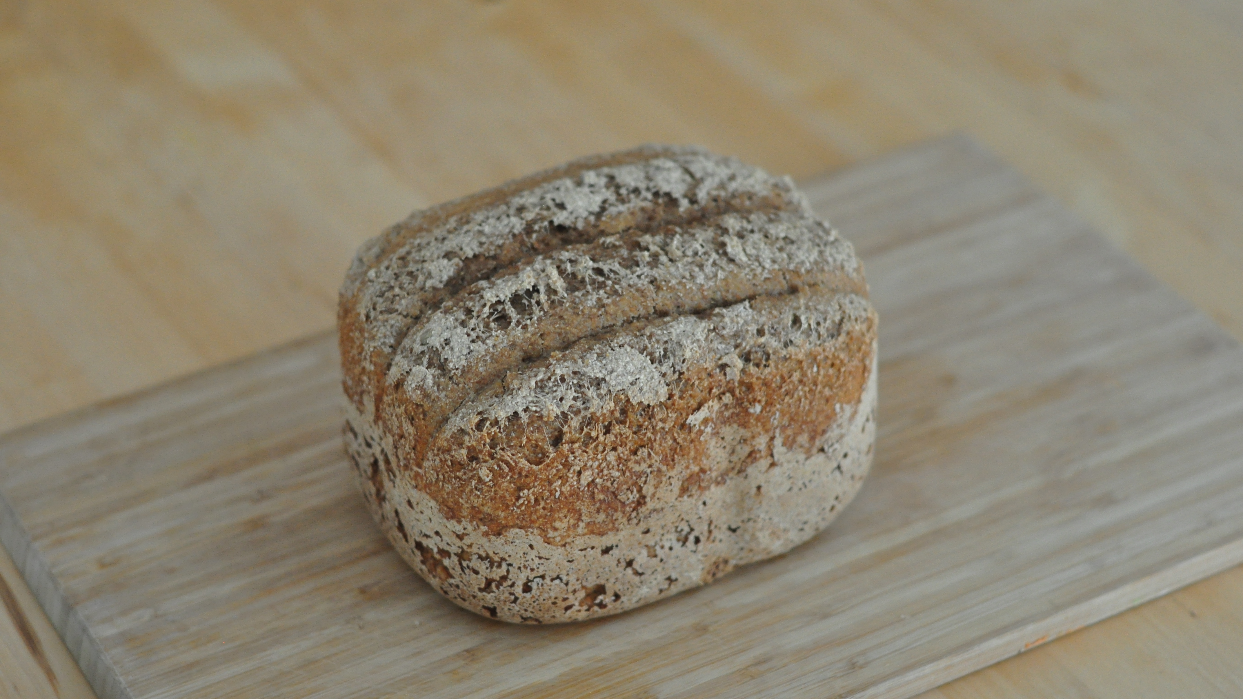 /posts/2020-03-27/DSC_5810 - Das erste Brot mit Wildhefe.jpg